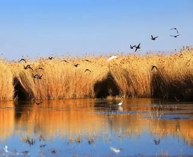 这条最“咸”最彩的公路，治好了我*藏西**的病，解掉了我*疆新**的毒