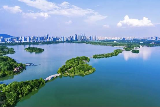 长期主义与匠人精神,长期主义脚踏实地