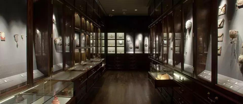 深圳这次入冬成功了吗,深圳终于进入了深秋的天气