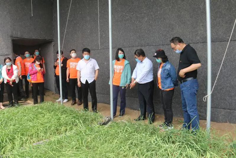 天津武清区下伍旗镇马神庙通背拳,天津市武清区下伍旗镇马神庙村