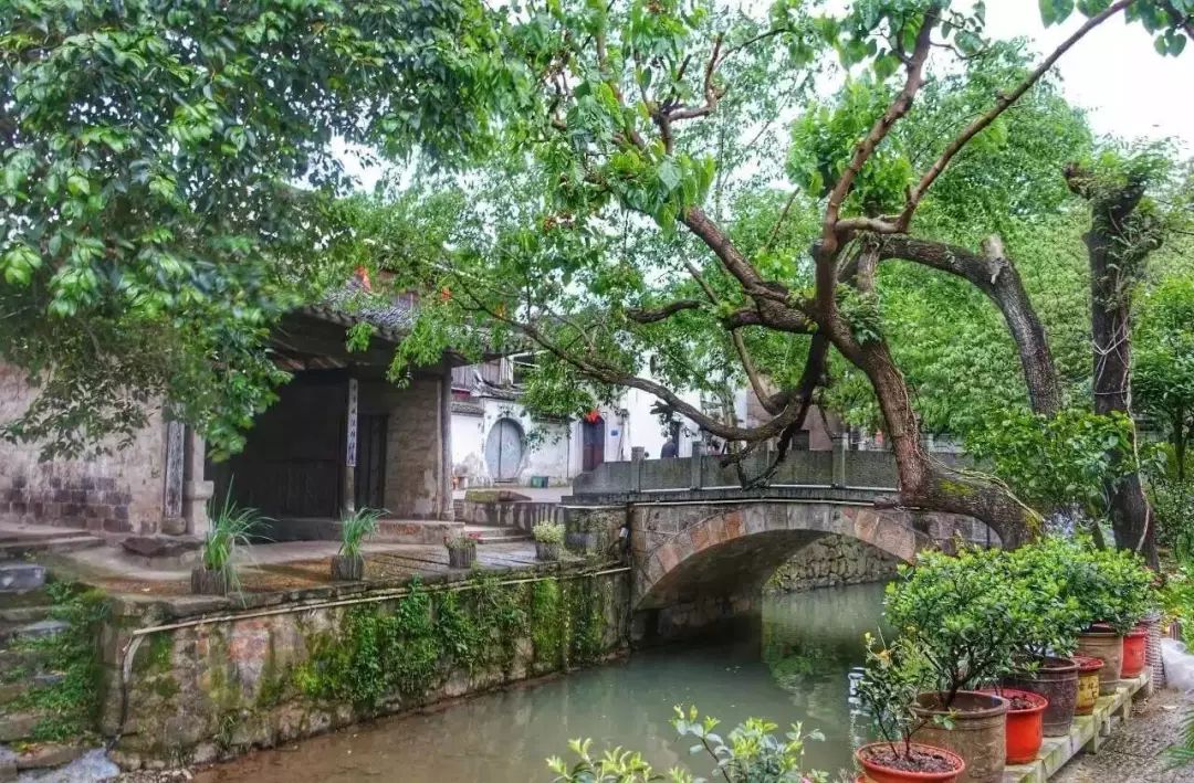 金华旅游攻略古镇推荐一下,诗意江南百花深处觅桃源