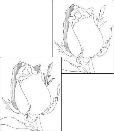 一幅素描玫瑰画如何加彩,玫瑰花束素描图片