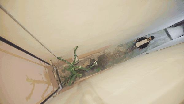 鍖椾含灞呭瀹呯敺鐢熸椿,鍖椾含瀹呯敺鐙眳800骞崇背