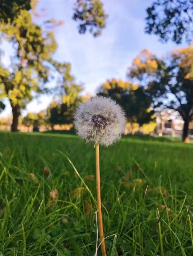 澳洲皇家墨尔本理工大学区块链,澳洲皇家理工学院