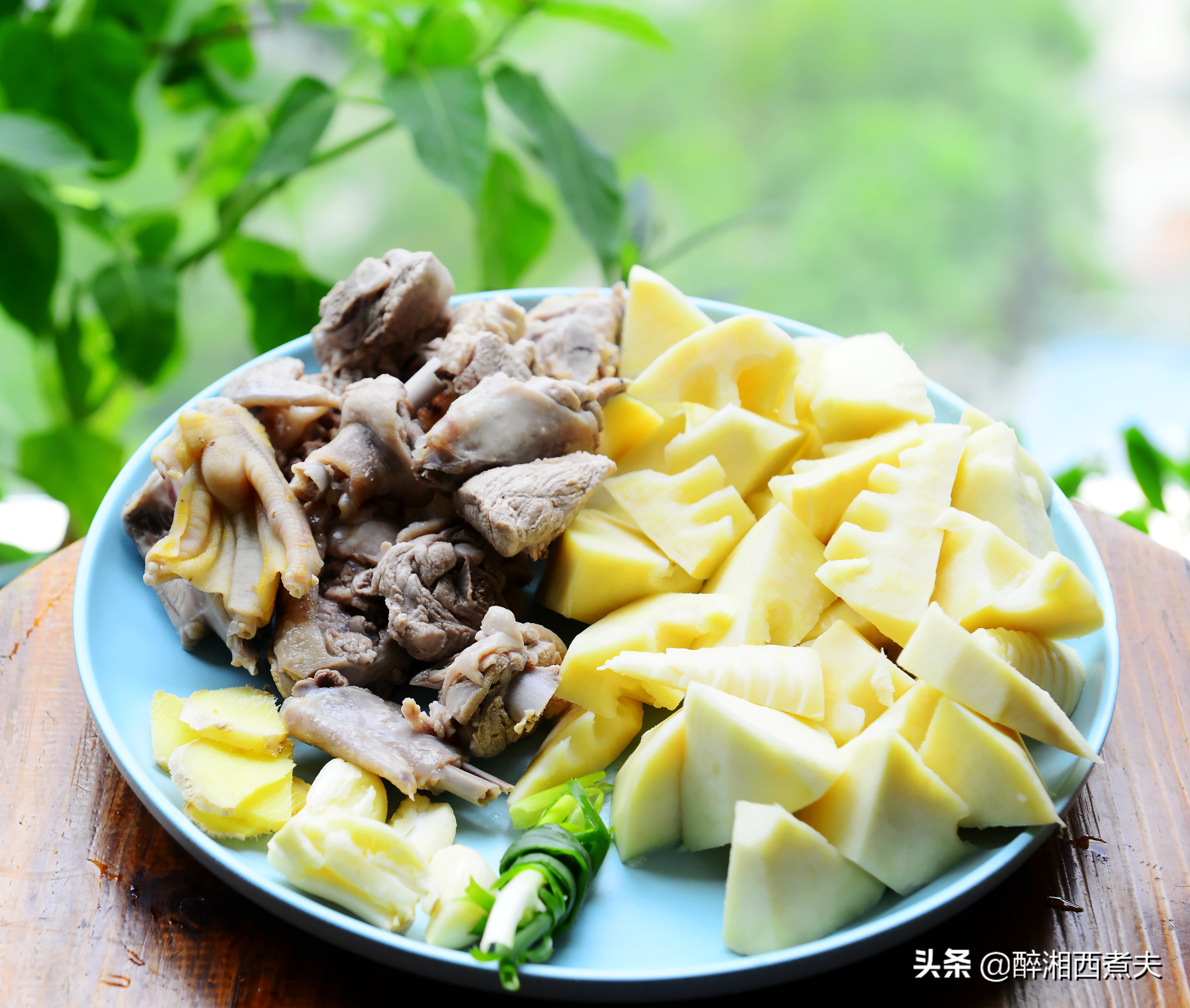 最好的南方竹笋,野生竹笋最好吃的季节