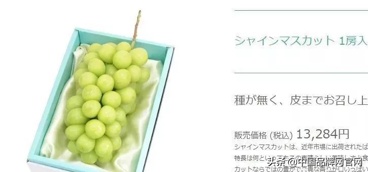 金龙鱼油日本的吗,金龙鱼稻米油在日本