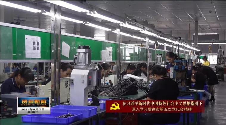 广西钟山东融产业园,国家级电子信息产业基地