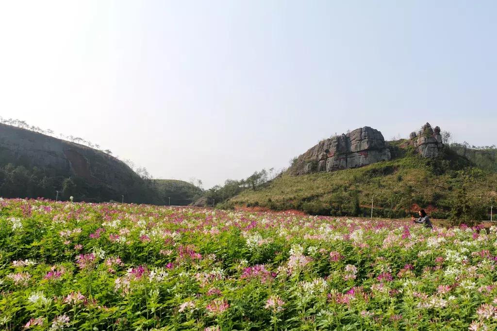 有个地方叫南雄,岭南一隅的南雄