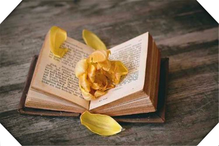 一夜暴富的人是怎样做到的,如何一夜暴富有效的方法