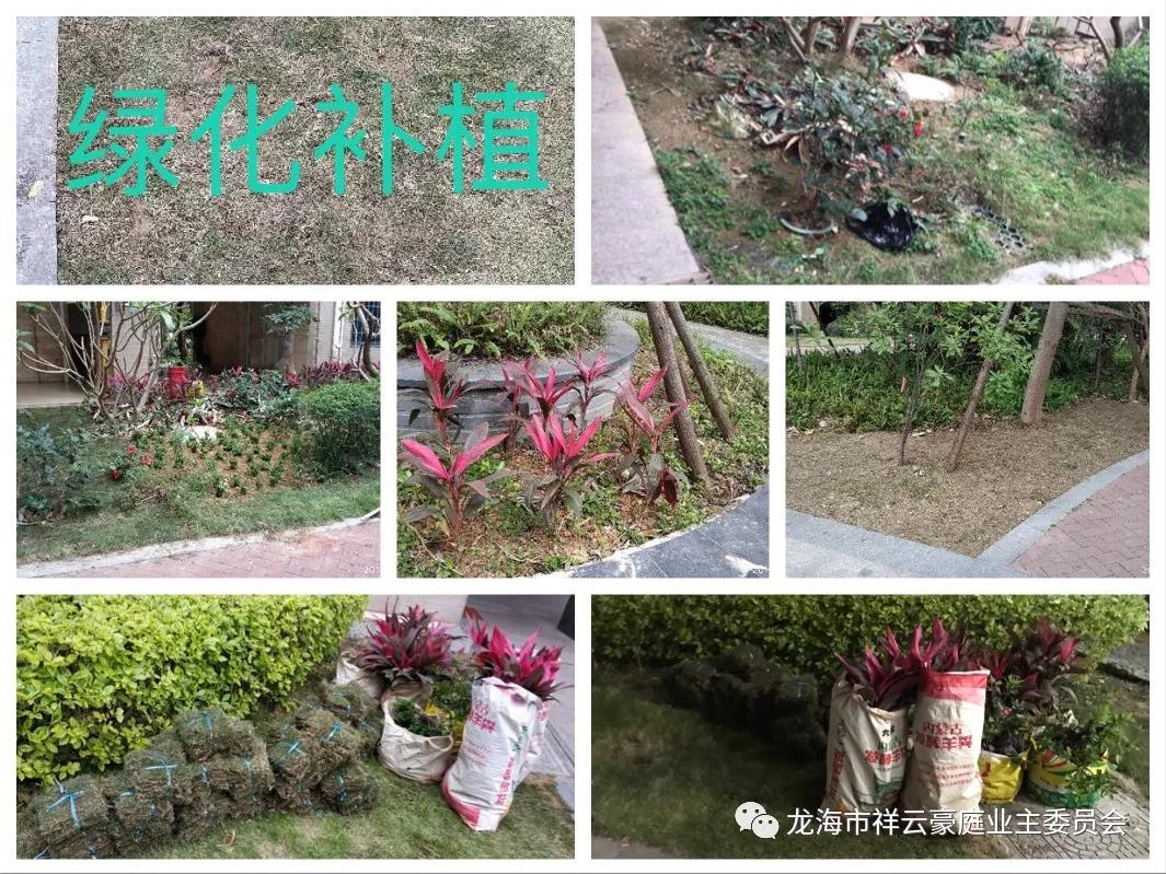 福建漳州石码祥云豪庭小区,龙海石码祥云豪庭117平