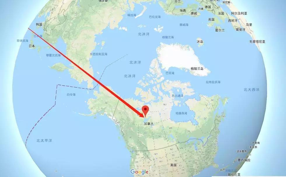 斑马旅游优缺点,斑马旅游2019