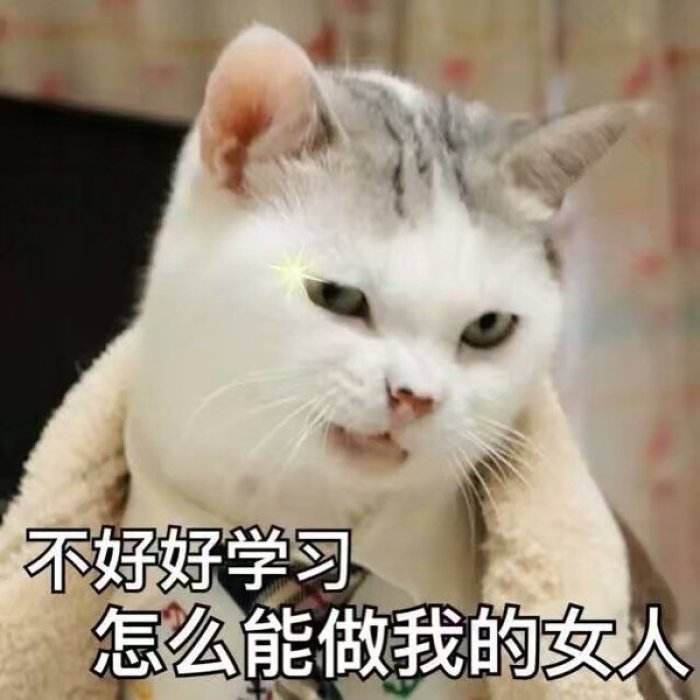 我的猫咪不爱喝水怎么办,猫咪因被主人关在门外大声嚎叫