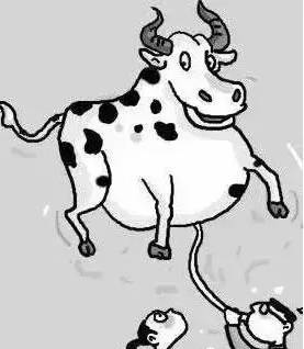 本命年什么时候穿红衣服最好,本命年穿红内衣裤寓意是什么