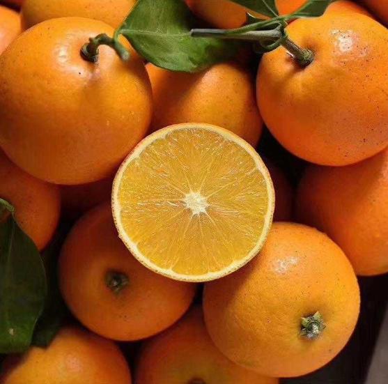 浼楁璧ｅ崡鑴愭,浼楁