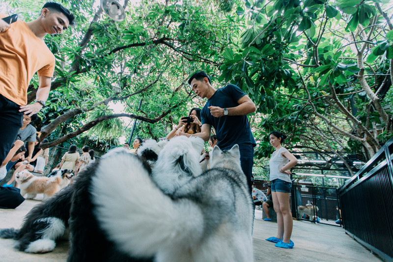 多次曼谷,整理了这份美食攻略,曼谷怎么吃?快戳进来