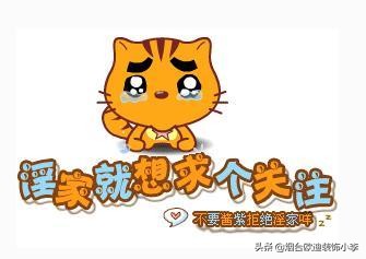 卫生间装修必备东西推荐,厨房卫生间装修各种神器