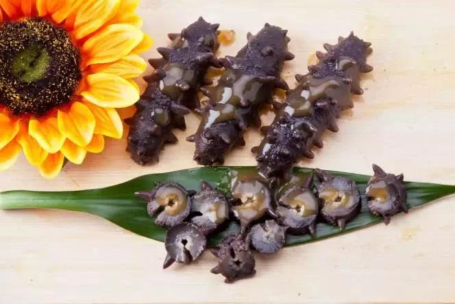 揭开神秘海洋生物世界,揭开神秘的面纱