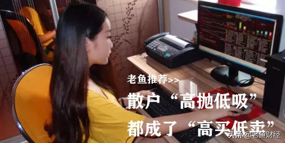 给新股民的十大炒股忠告,股民小马的炒股日记