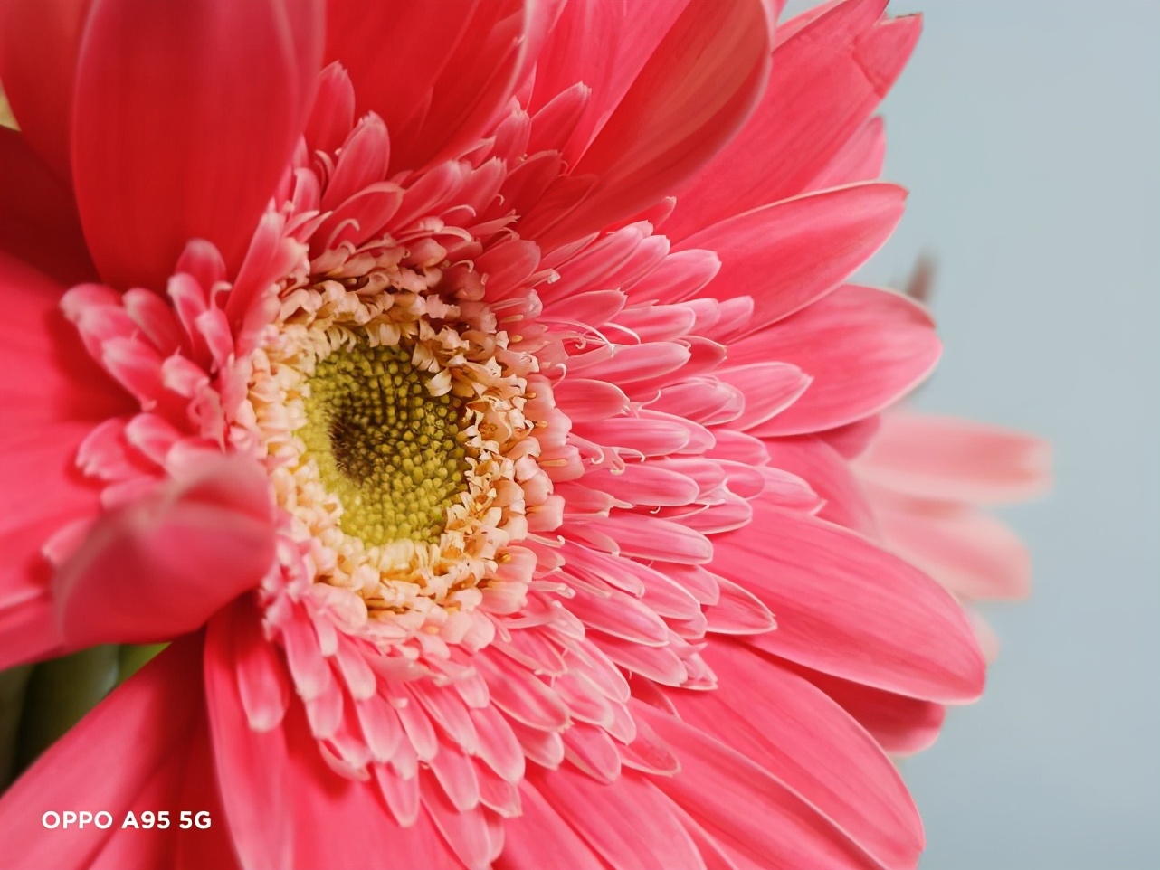 oppoa95值得入手吗8+128,oppoa95开箱评测视频