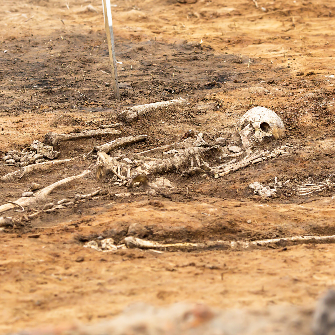 印度医院连死人都不放过电影,连死人都不放过印度电影