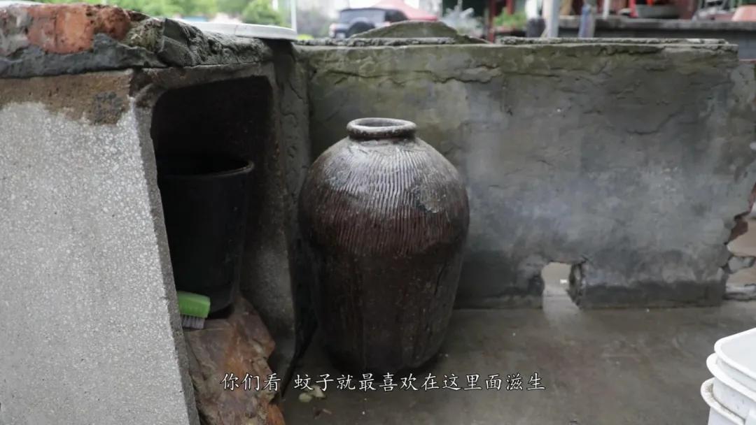 蚊子驱蚊最快的方法,夜晚蚊子多怎么有效的驱蚊