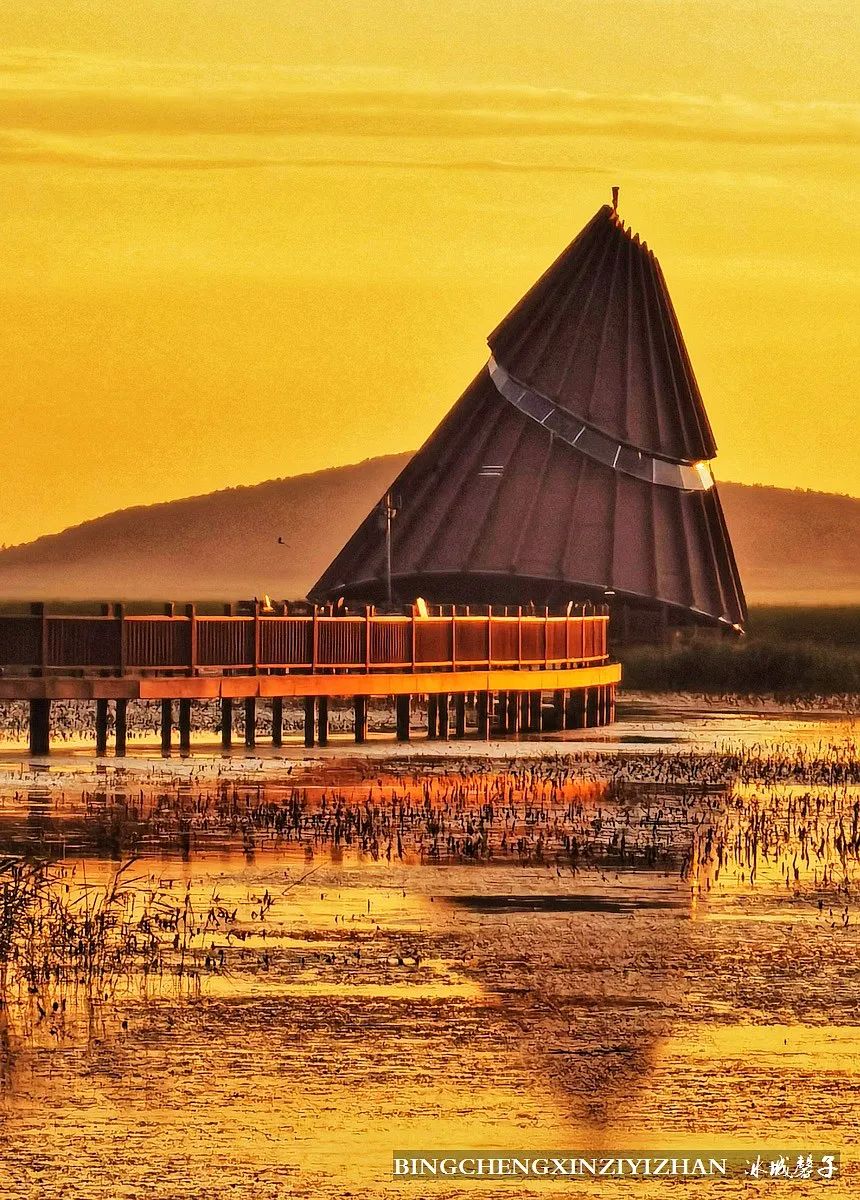 再返富锦，为着那份飘着稻花香的“湿”意约定