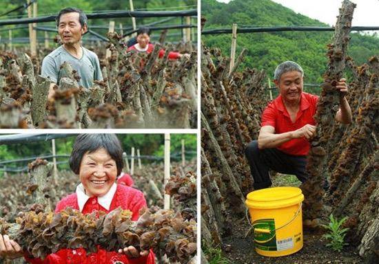 一个四川女人在广东创业,80后小伙儿农村创业年收入十几万