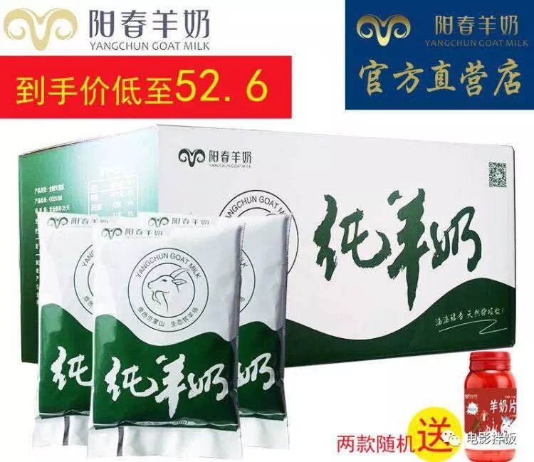 新手养猫注意事项以及幼猫到新家,新手养猫养什么猫又便宜又好养