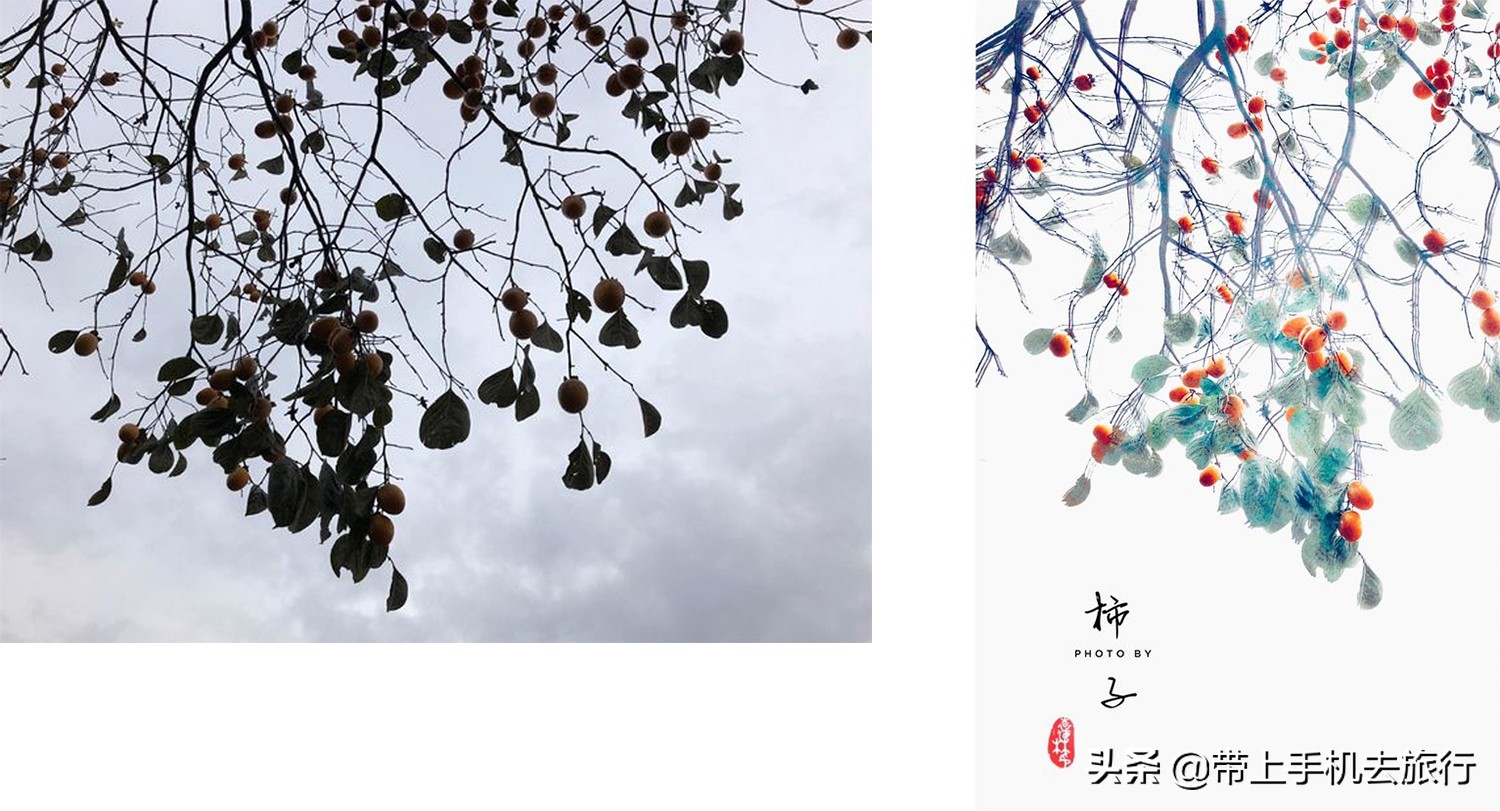 手机怎么拍出好看的画质,手机如何拍摄手机画面好看