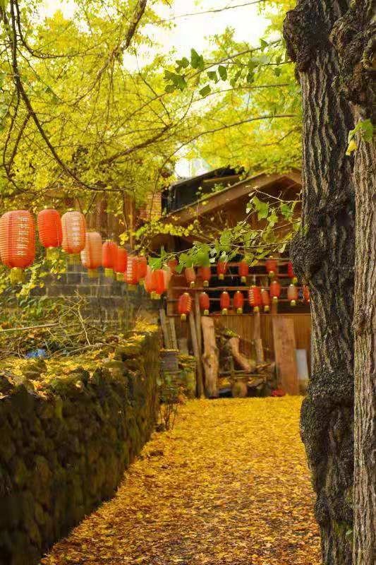 云南十一自驾,云南自驾游十一旅游攻略