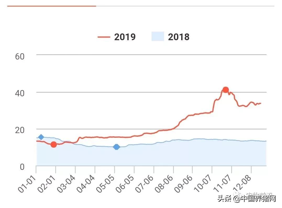 生猪行业走势点评,生猪行业有哪几种