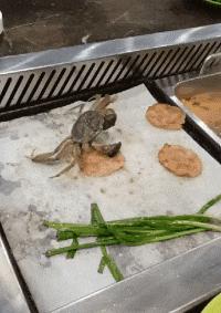 搞笑gif你们这些城里人太会玩了,搞笑gif逗比的世界你永远理解不了