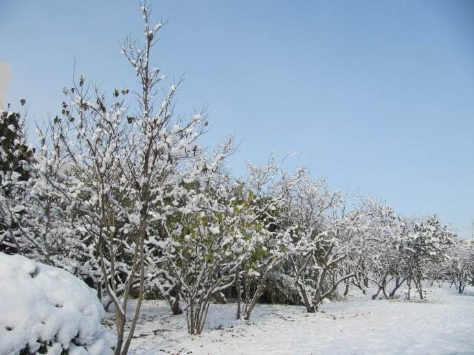 秋韵温柔岁月，冬情惊艳时光