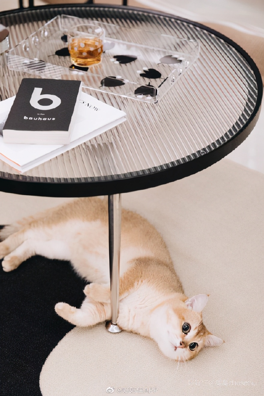 小户型高级感装修,小户型复式客厅高级感