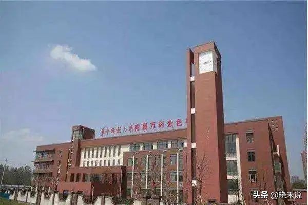 12所师范大学全国前100名,十二师小学排名