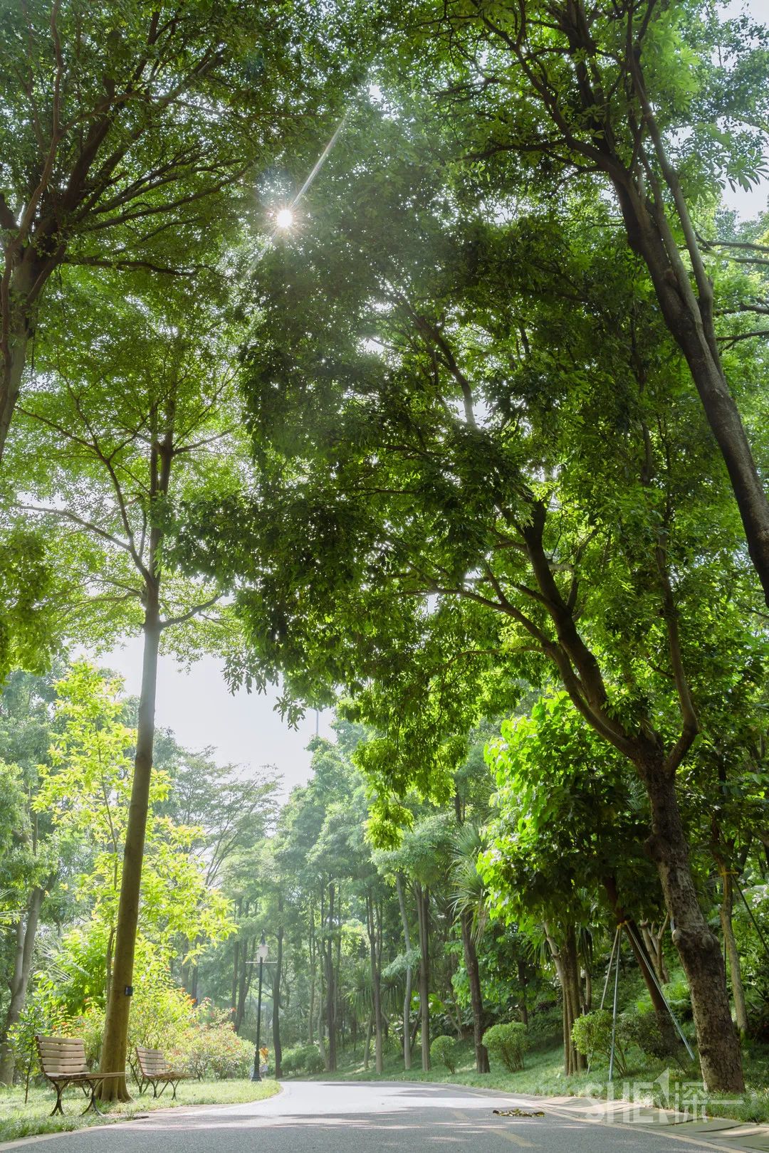 深圳购物商场排名,深圳最新商场开业