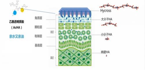 美丽田园医美水光针,美丽田园玻尿酸