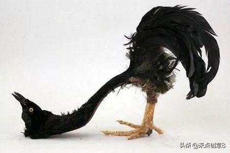 不是我说，你这辈子都穿不到这样优秀的鞋子