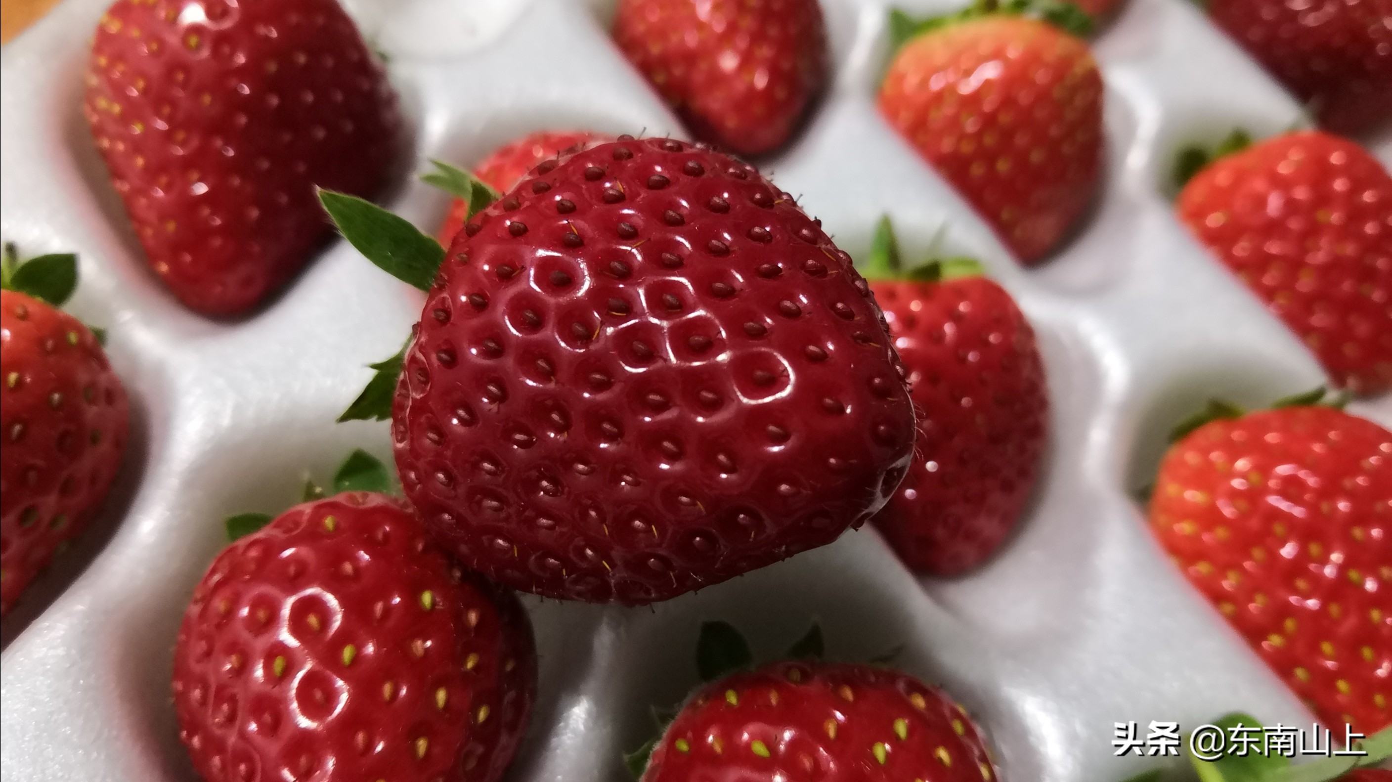 钙元素的性质,钙元素和微量元素分别是什么