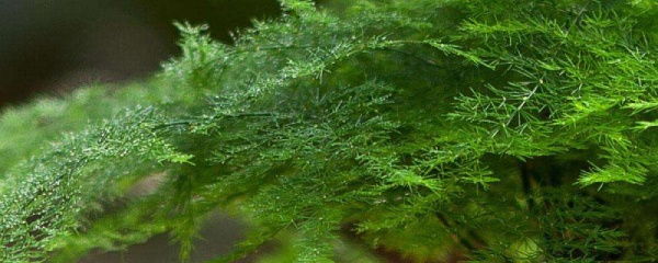 鏂囩鍙戦粍鐨勫師鍥犲強瑙ｅ喅鏂规硶瑙嗛,鏂囩鍙戦粍鐨勫師鍥犲強瑙ｅ喅鏂规硶鍥剧墖