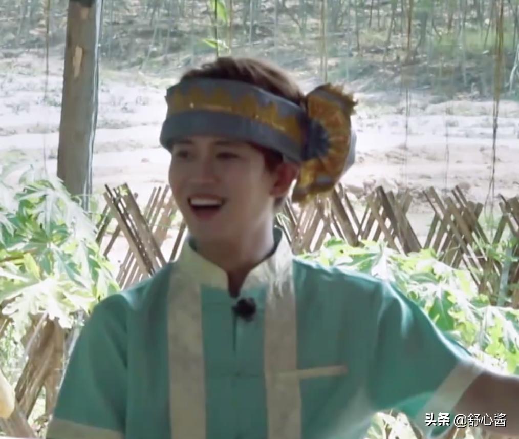 向往的生活任嘉伦谭松韵许魏洲,向往的生活任嘉伦掉河里了