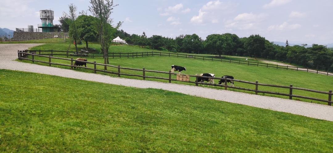 协议离婚要冷静期30天吗,快速离婚跳过冷静期离婚流程