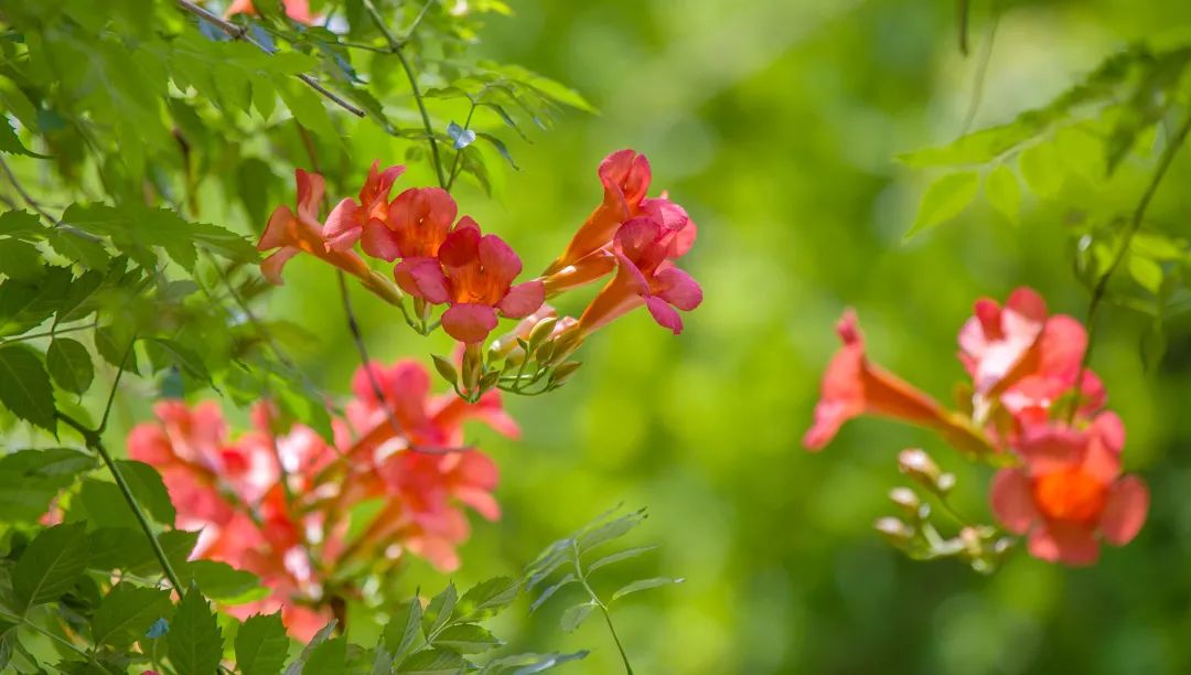 在济南花式避暑，一见“清”心！只需一瞥，便足以把酷夏原谅…