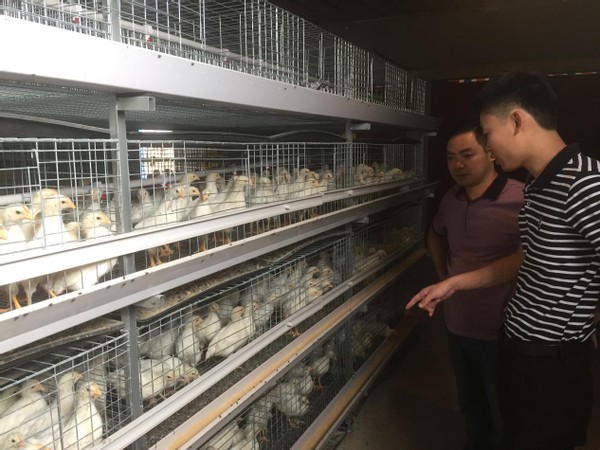 打造农业产业创新发展模式,现代农业产业融合发展项目