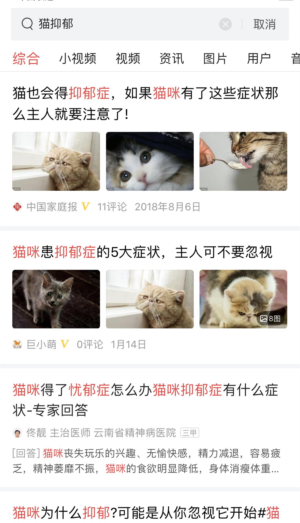 猫咪虚弱怎么自己治疗,猫咪体型小怎么补救
