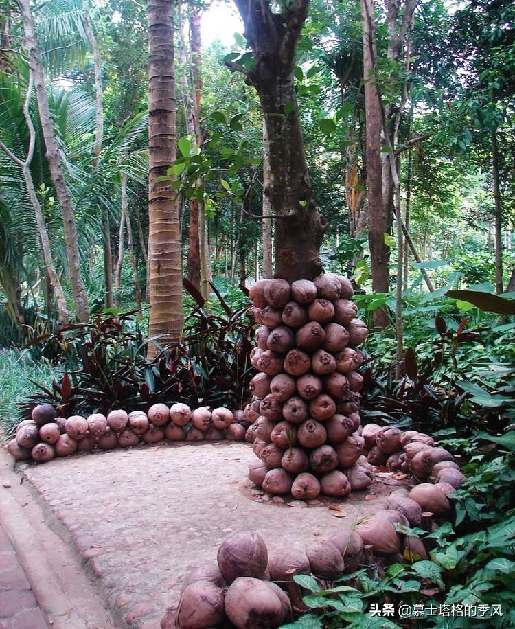 海南冬天好玩的城市,海南还有比三亚更美的小城吗