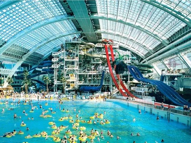 卡尔加里对蒙特利尔,卡尔加里多伦多对比