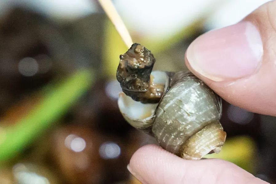 为了吃美食去外地,为了吃儿时的味道跑到一个地方