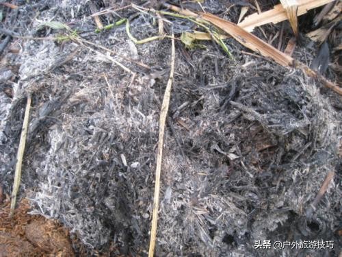 夜钓怎样防蛇进身边,夜钓防蛇最简单方法