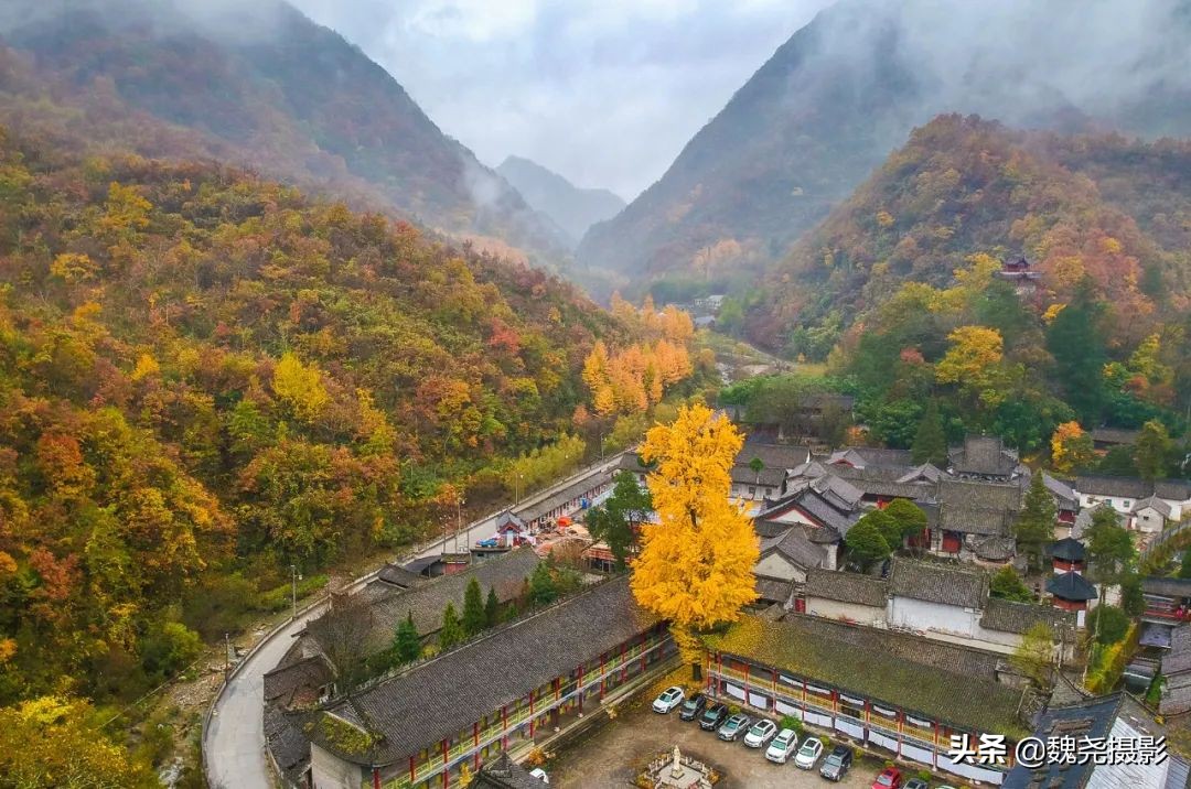 留坝秦岭之夜,留坝秦岭森林公园